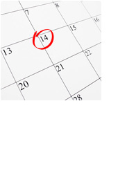 レイアウト確認・受付日確定(イメージ)
