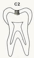 C2