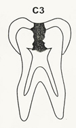 C3