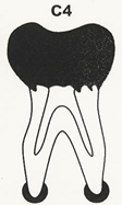 C4