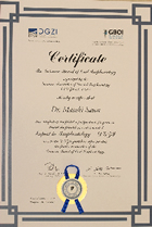 DGZI@Expert in Implantology@F