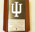INDIANA UNIVERSITY SCHOOL OF MEDICINE