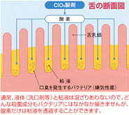 CIOQ̂͂炫@̒fʐ}