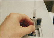 2.eɒA肪Jn܂B